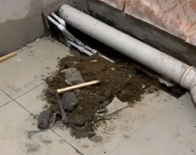 铁锋卫生间漏水检测哪家好
